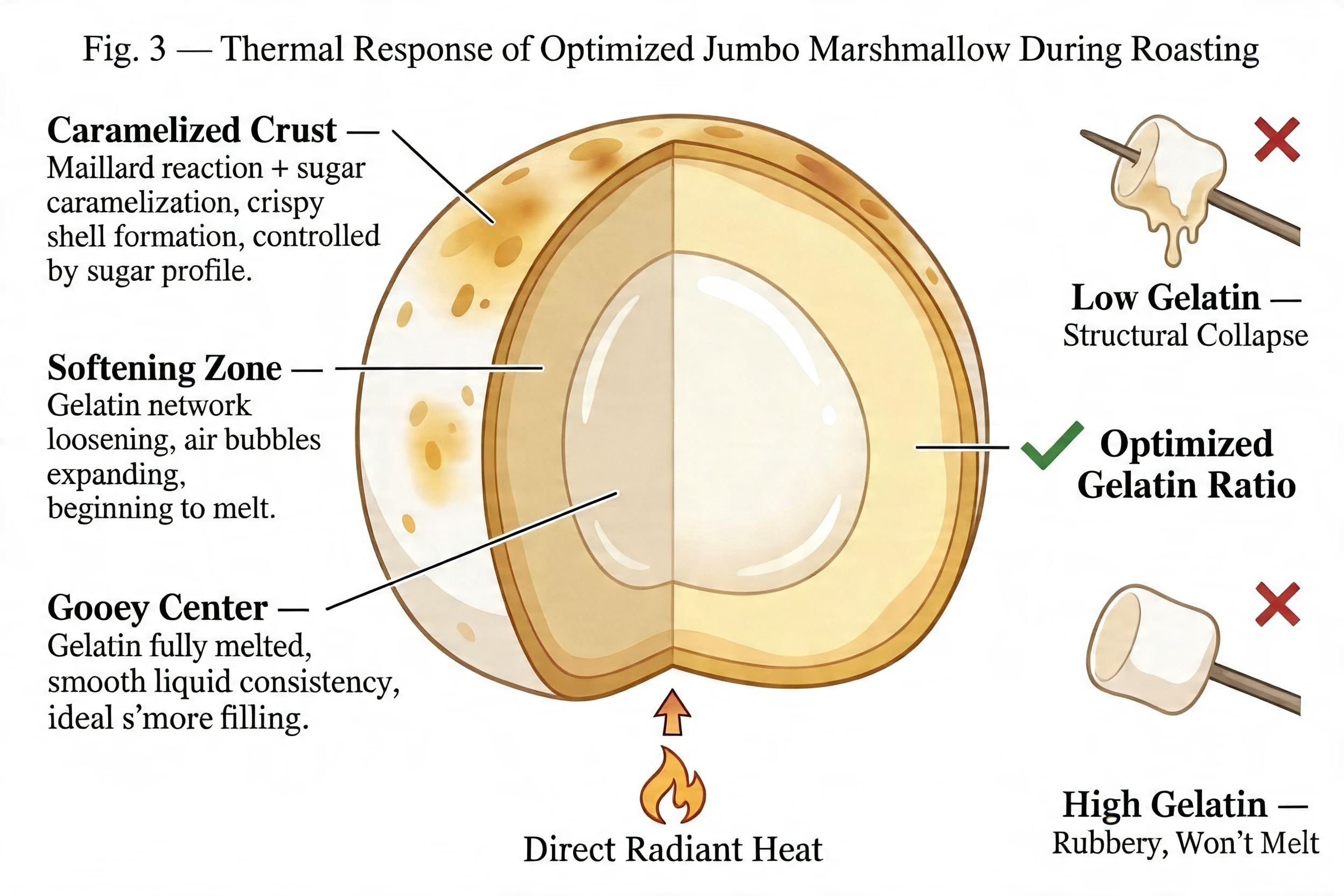 A perfectly toasted golden-brown giant marshmallow
