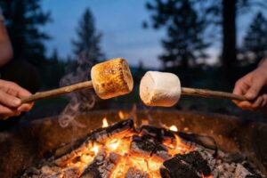 Looking for Giant Marshmallows for the Campfire Market?