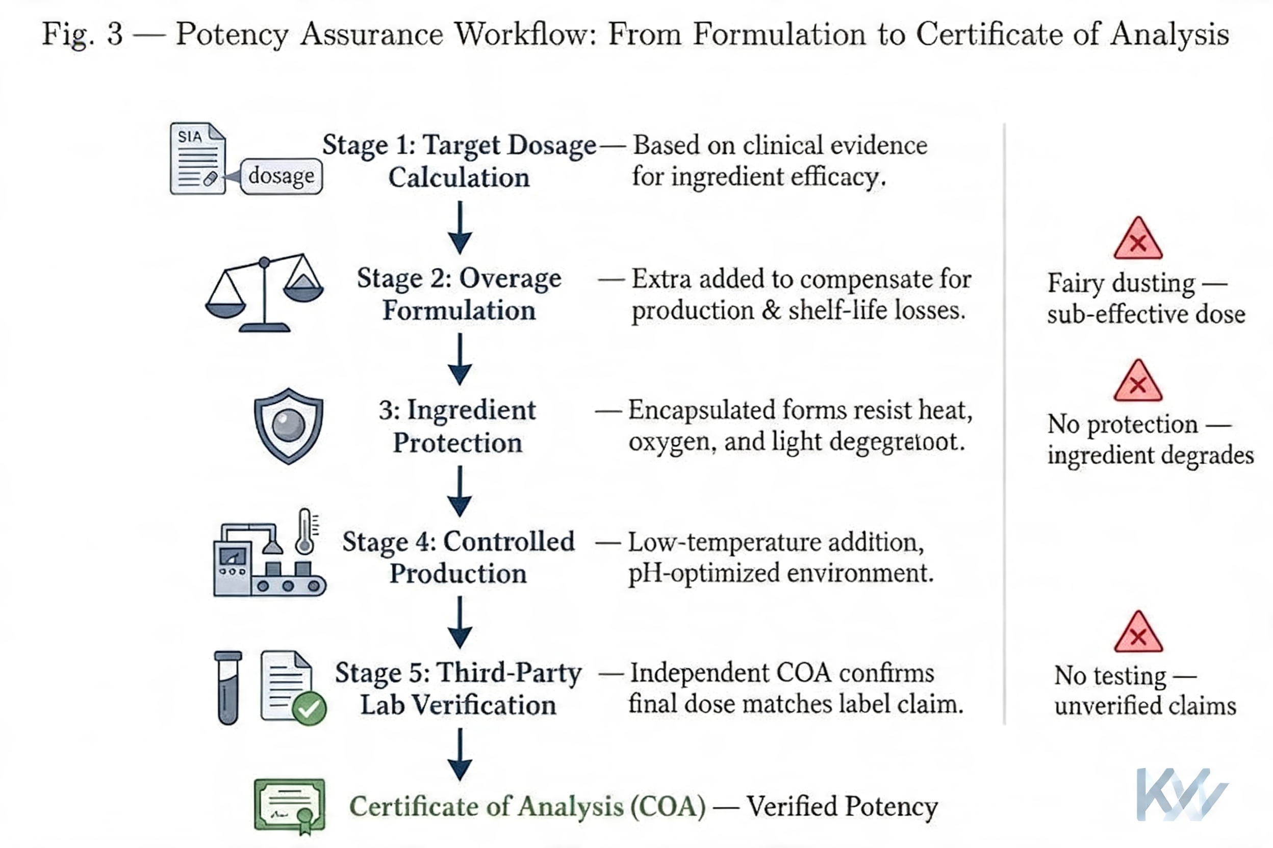A lab technician testing a batch of functional marshmallows for potency