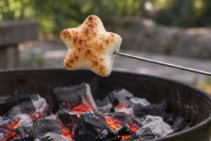 Fire-Roasting Marshmallows: Which Formulas Hold Shape Best?